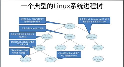 操作系统之进程与线程