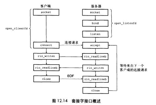 深入理解计算机系统 第十二章 网络编程